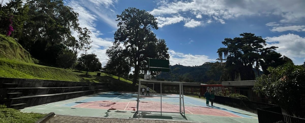 Cancha